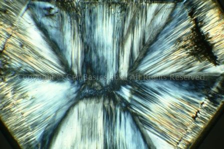 Trapiche quartz between crossed polars